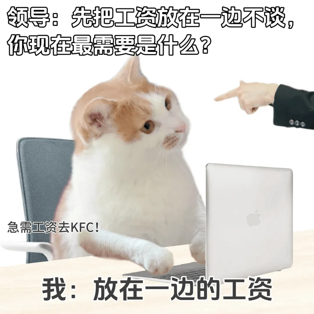 领导:先把工资放在一边不谈,你现在最需要的是什么?急需工资去