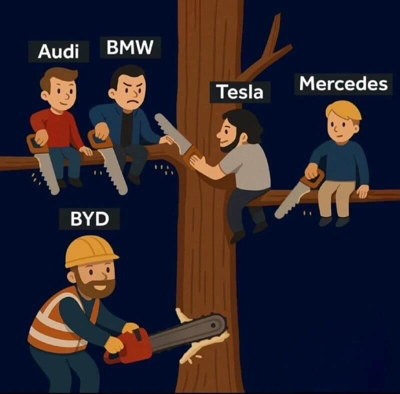 AudiBMWMercedesTeslaBYD
