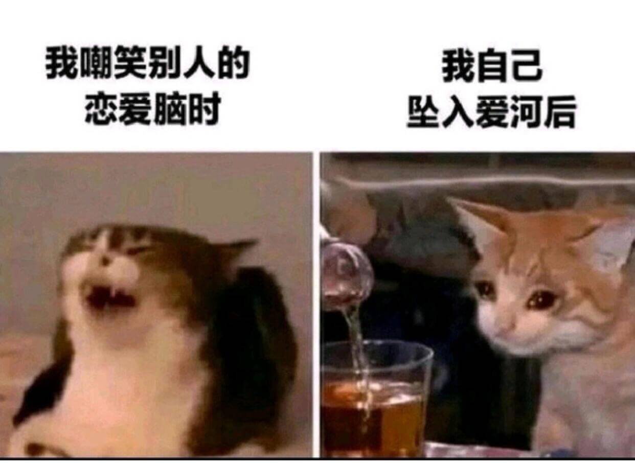 我嘲笑别人的恋爱脑时我自己坠入爱河后