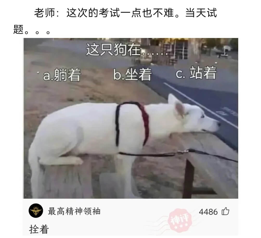 老师：这次的考试一点也不难。当天试这只狗在a.躺着C.站着b