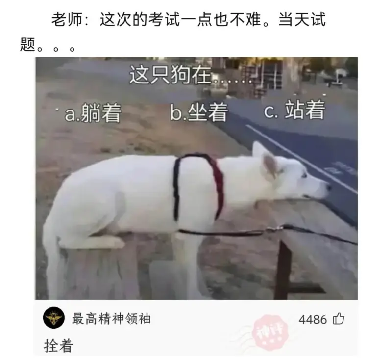老师：这次的考试一点也不难。当天试这只狗在a.躺着C.站着b