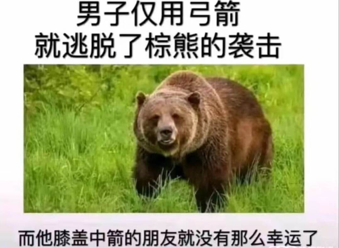男子仅用弓箭就逃脱了棕熊的袭击而他膝盖中箭的朋友就没有那么幸
