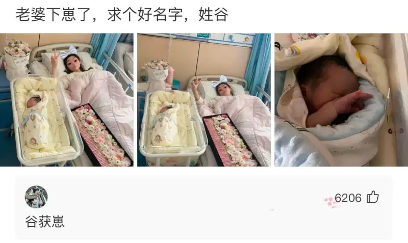 老婆下崽了，求个好名字，姓谷。谷获仔6206