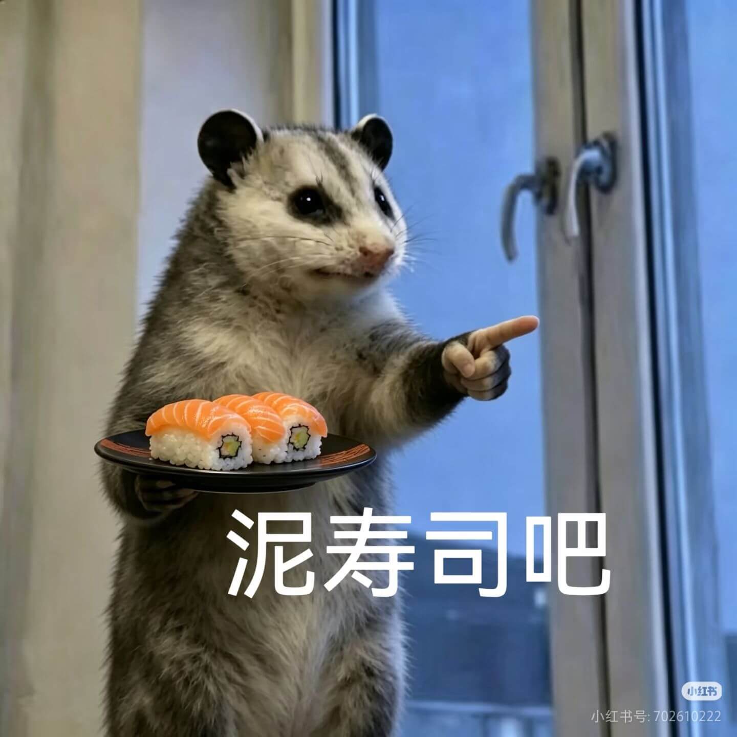 泥寿司吧小红书小红书号:702610222