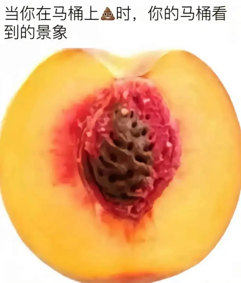 当你在马桶上时，你的马桶看到的景象