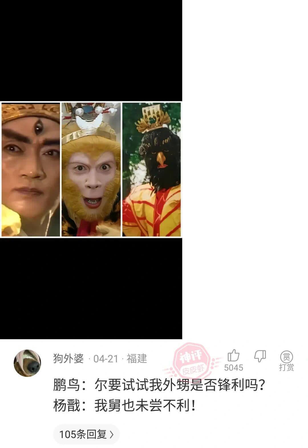 狗外婆：04-21·福建神评赏5045打赏皮皮虾鹏鸟：尔要试