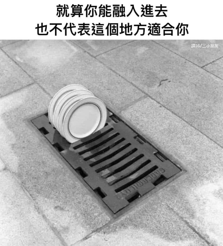 就算你能融入進去，也不代表這個地方適合你。譯IG/三小朋友