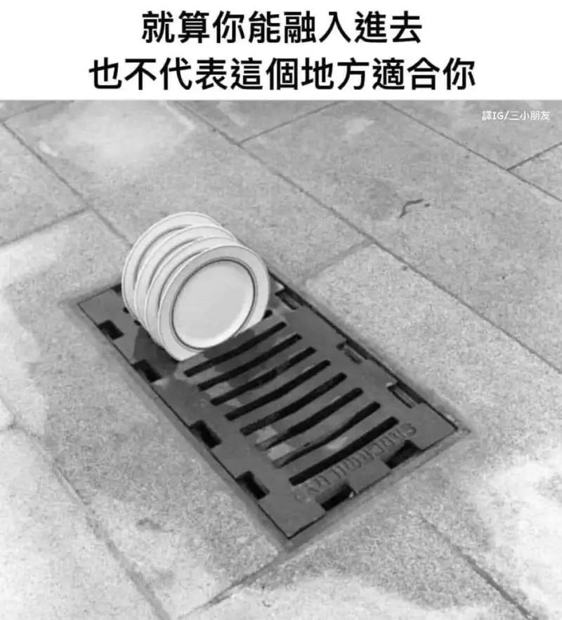 就算你能融入進去，也不代表這個地方適合你。譯IG/三小朋友