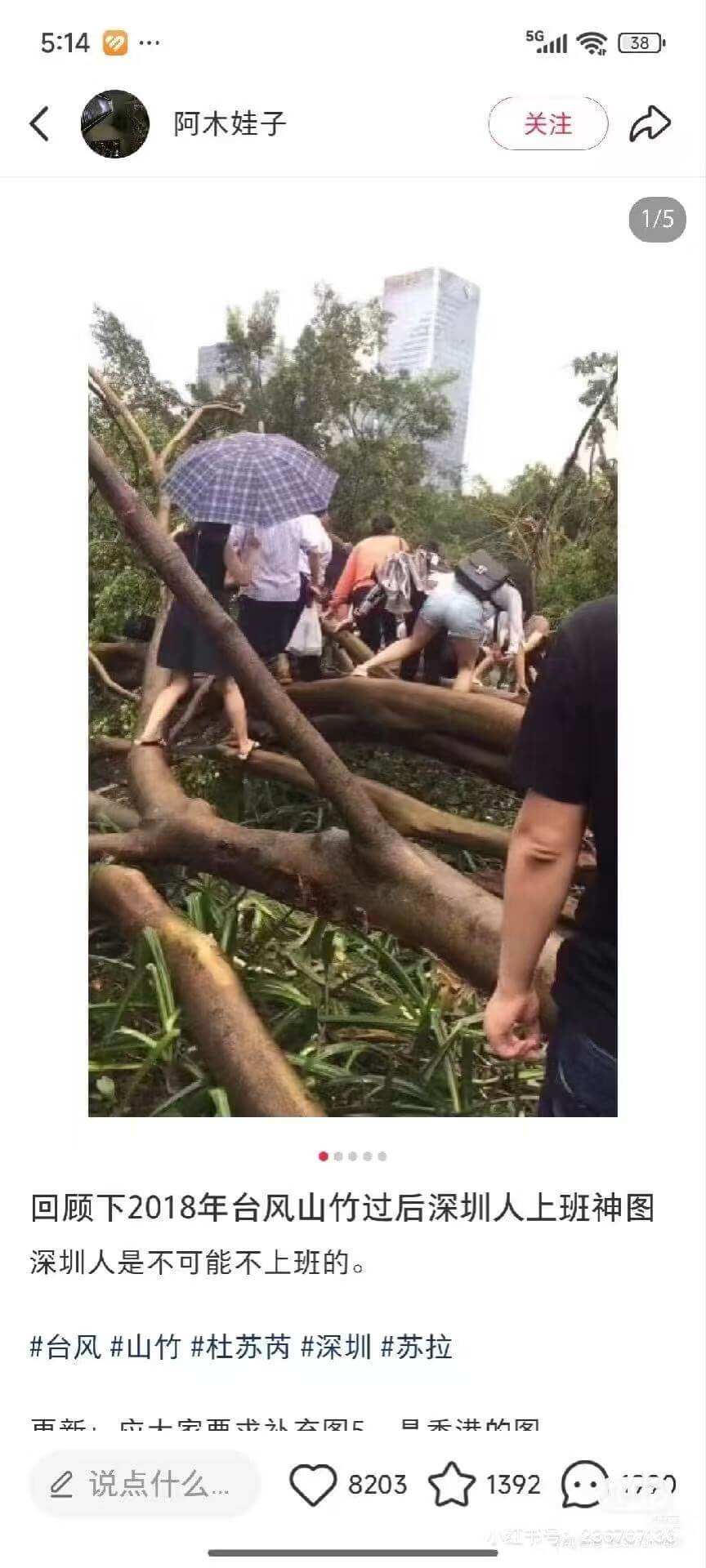 5G11385:14阿木娃子关注1/5回顾下2018年台风山