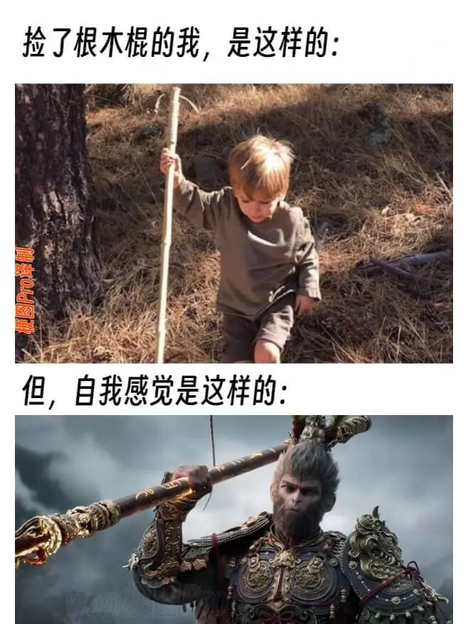 捡了根木棍的我，是这样的:梗图Pro译制但，自我感觉是这样的