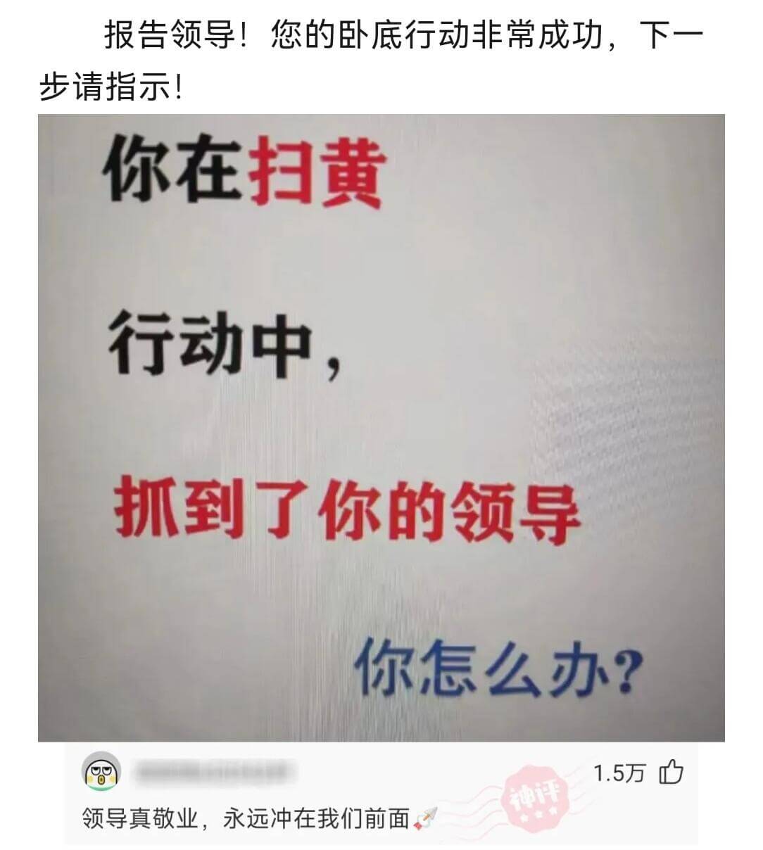 报告领导！您的卧底行动非常成功，下一步请指示！你在扫黄行动中