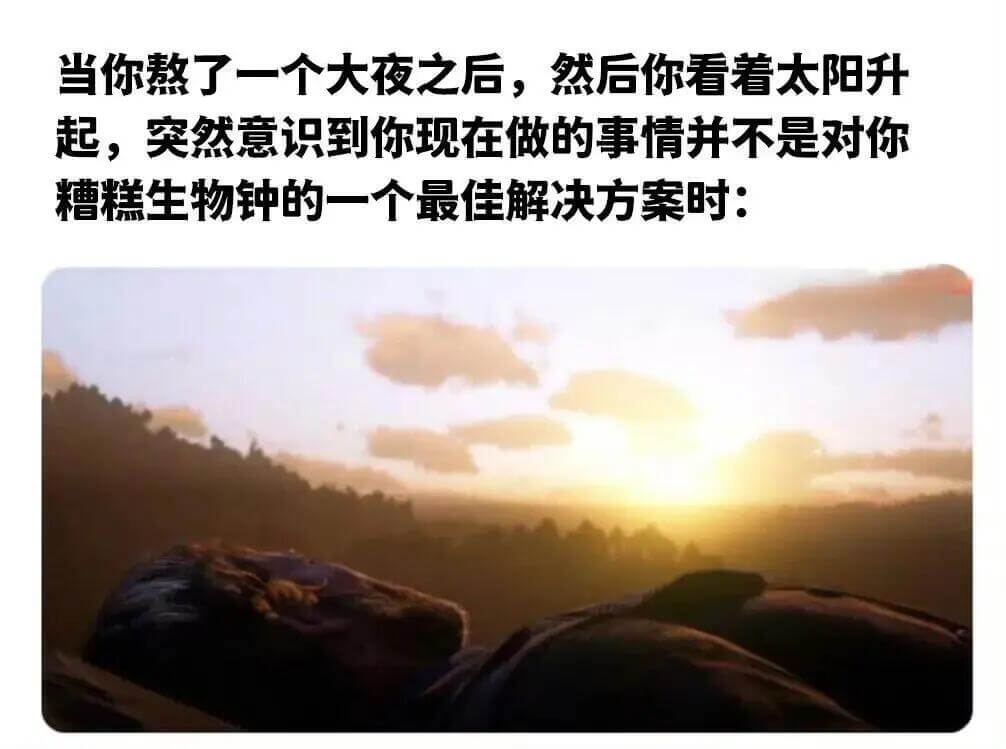 当你熬了一个大夜之后，然后你看着太阳升起，突然意识到你现在做