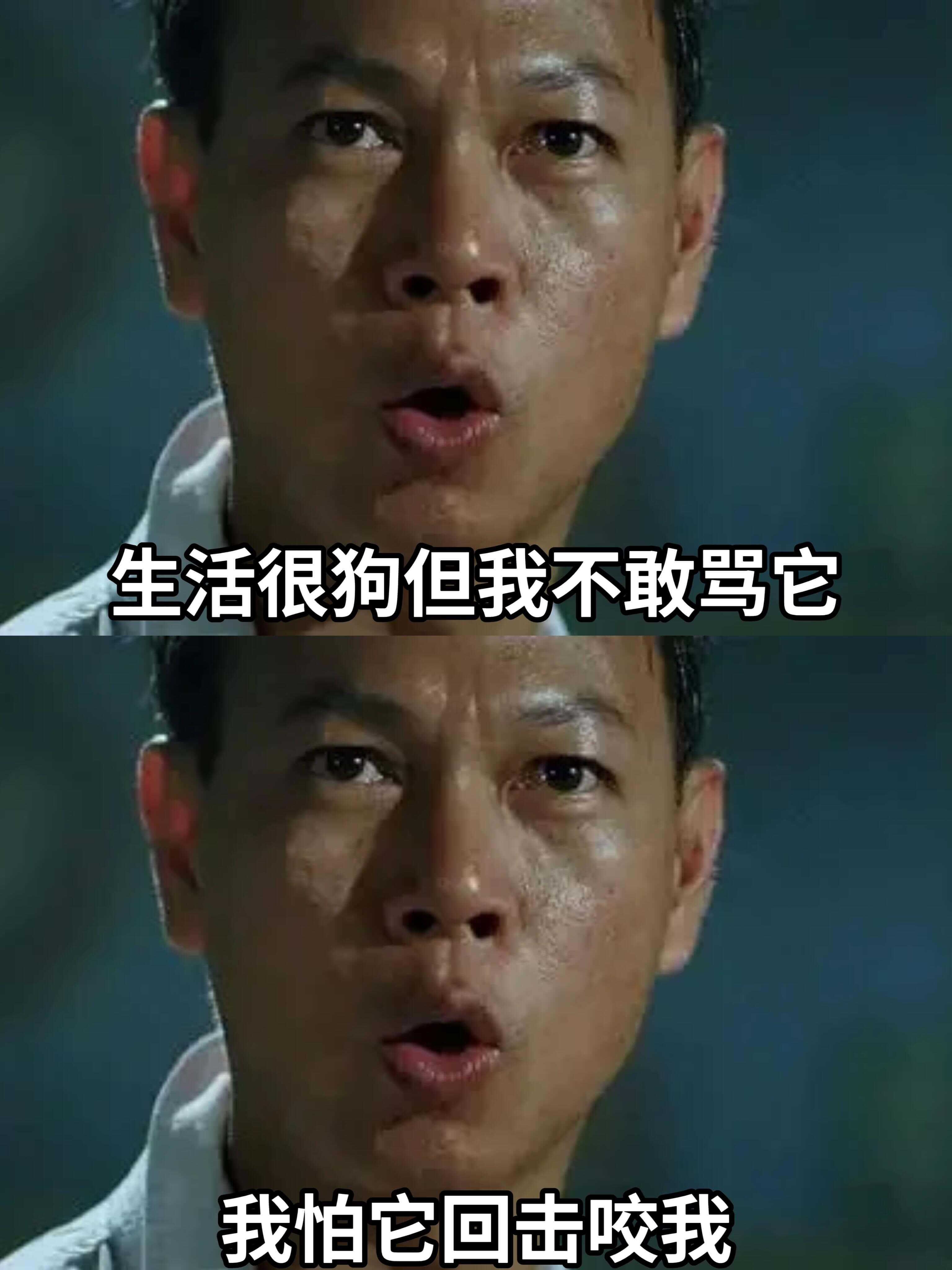 生活很狗，但我不敢骂它。我怕它回击咬我。