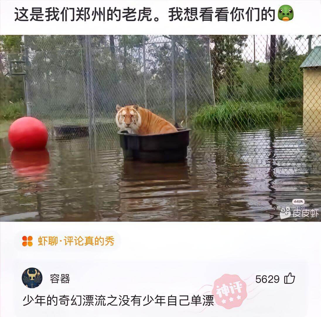 这是我们郑州的老虎。我想看看你们的小红书皮皮虾虾聊·评论真的