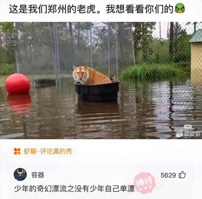 这是我们郑州的老虎。我想看看你们的小红书皮皮虾虾聊·评论真的