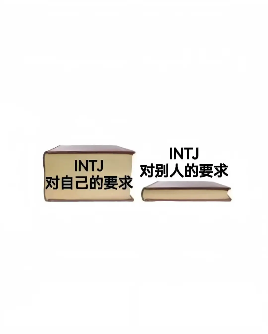 INTJINTJ对别人的要求对自己的要求