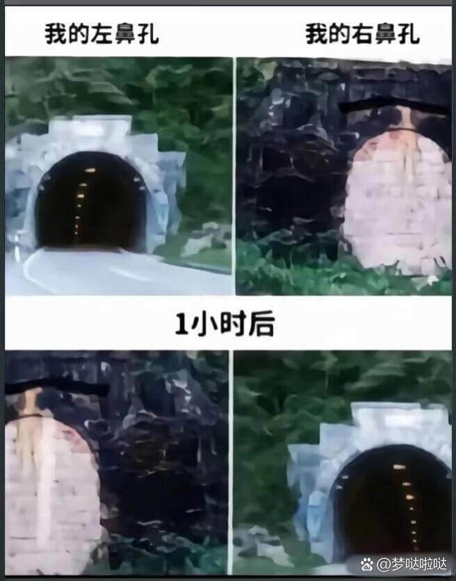 我的左鼻孔我的右鼻孔1小时后爸@梦哒啦哒