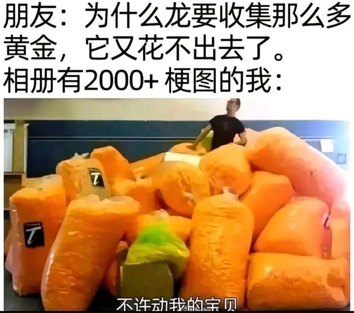 朋友：为什么龙要收集那么多黄金，它又花不出去了。相册有200