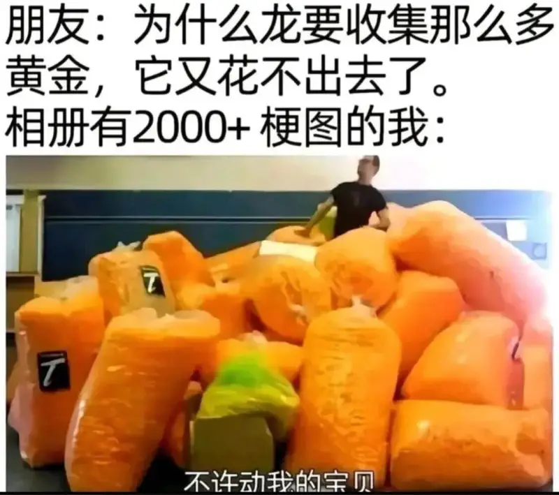 朋友：为什么龙要收集那么多黄金，它又花不出去了。相册有200
