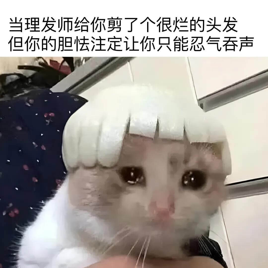 当理发师给你剪了个很烂的头发，但你的胆怯注定让你只能忍气吞声