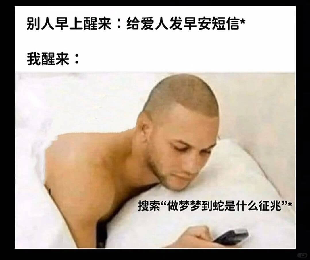别人早上醒来：给爱人发早安短信*我醒来：搜索“做梦梦到蛇是什
