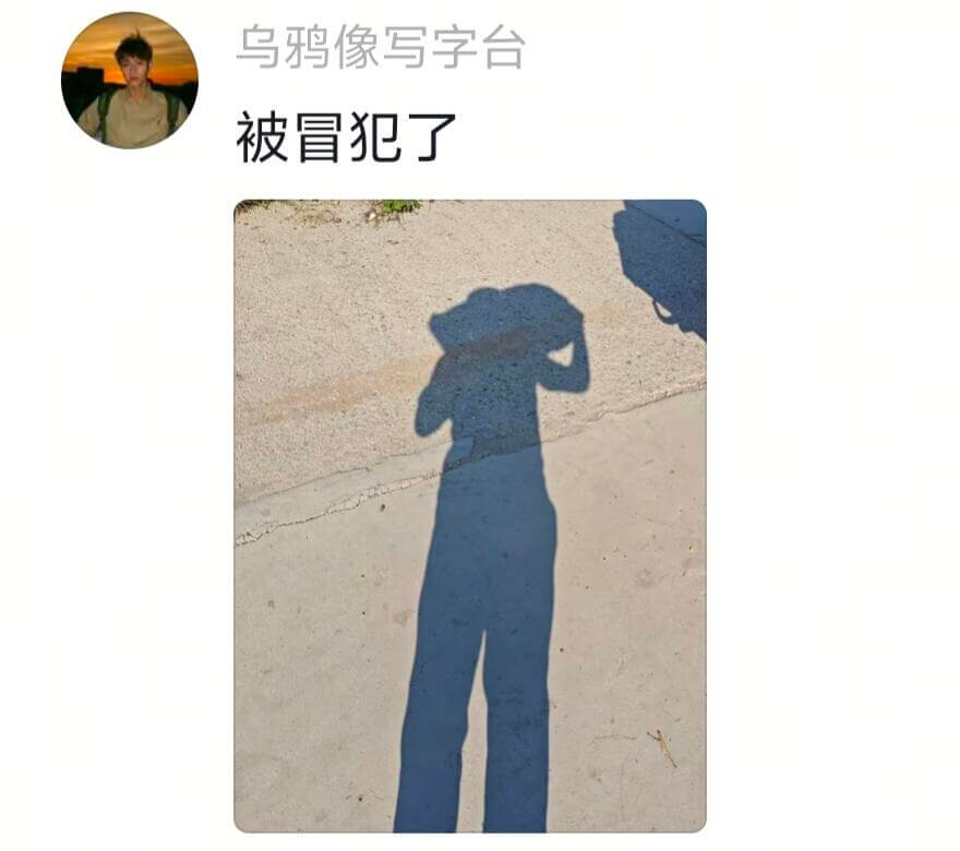 乌鸦像写字台被冒犯了
