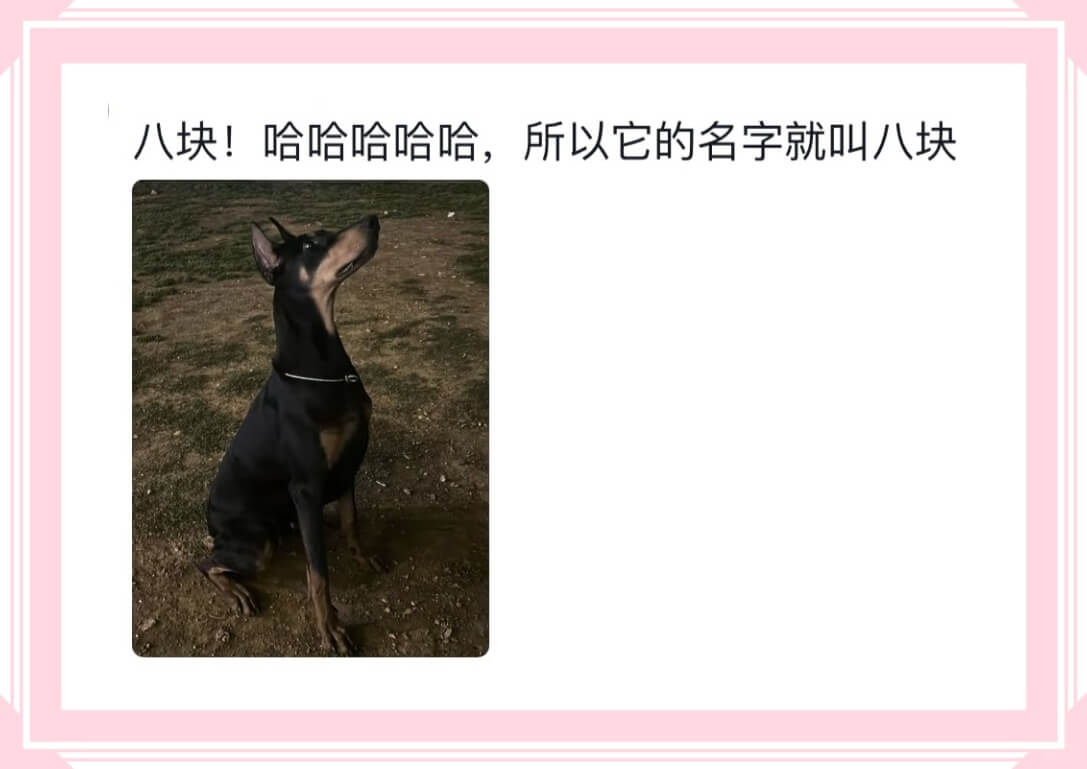 八块!哈哈哈哈哈，所以它的名字就叫八块