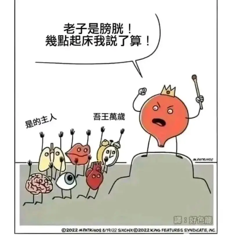 梗图