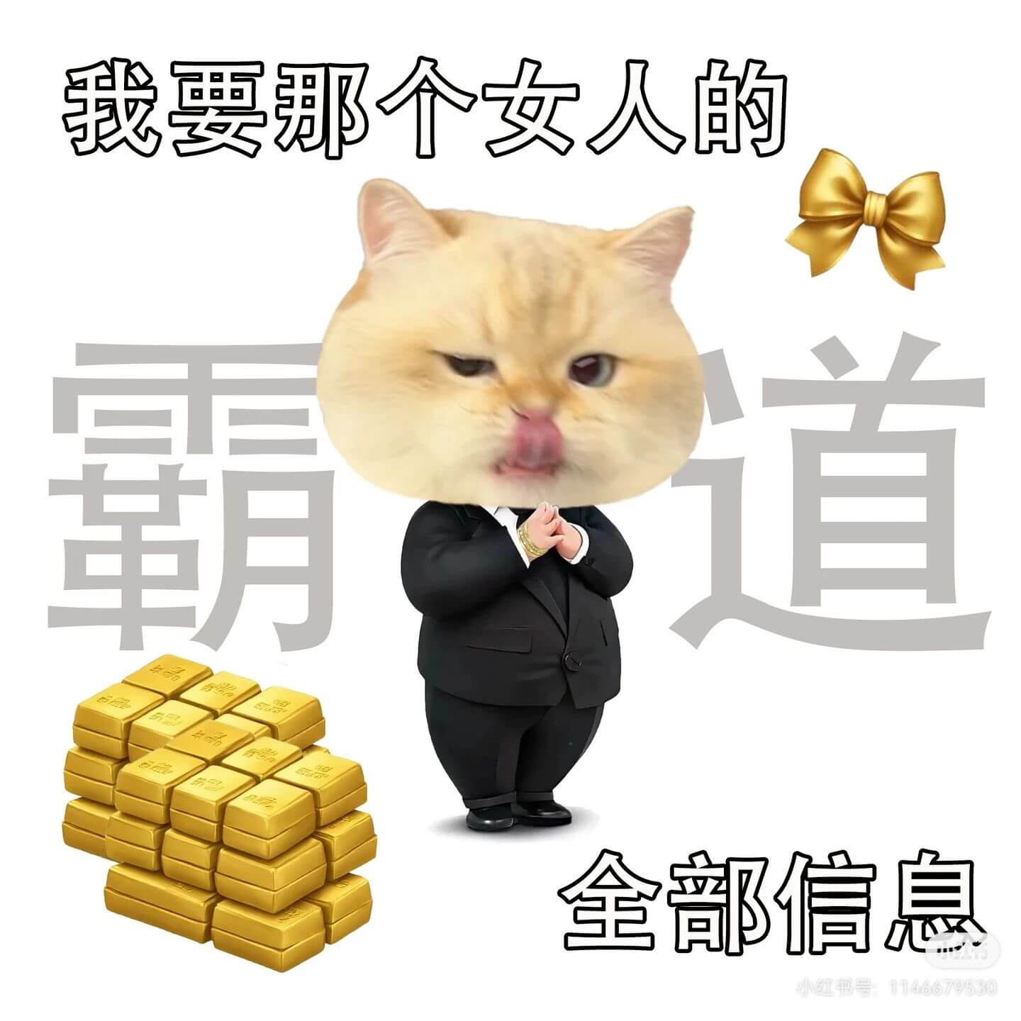 我要那个女人的道朝全部信息小红书号:1146679530