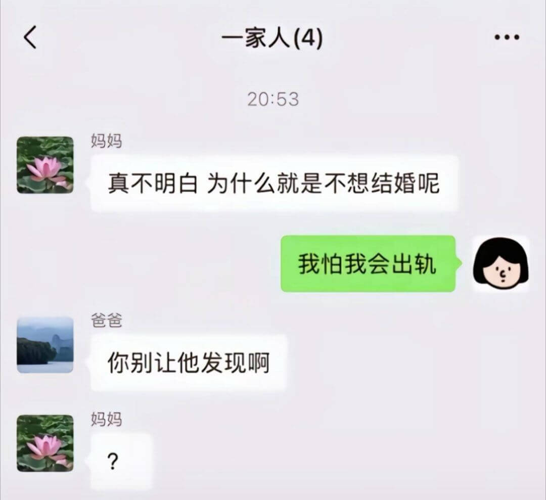 一家人(4)20:53妈妈：真不明白为什么就是不想结婚呢。我