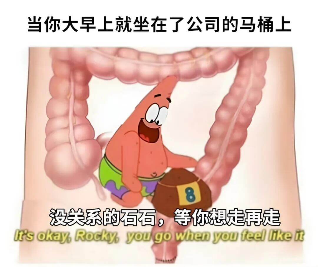 当你大早上就坐在了公司的马桶上，没关系的石石，等你想走再走。