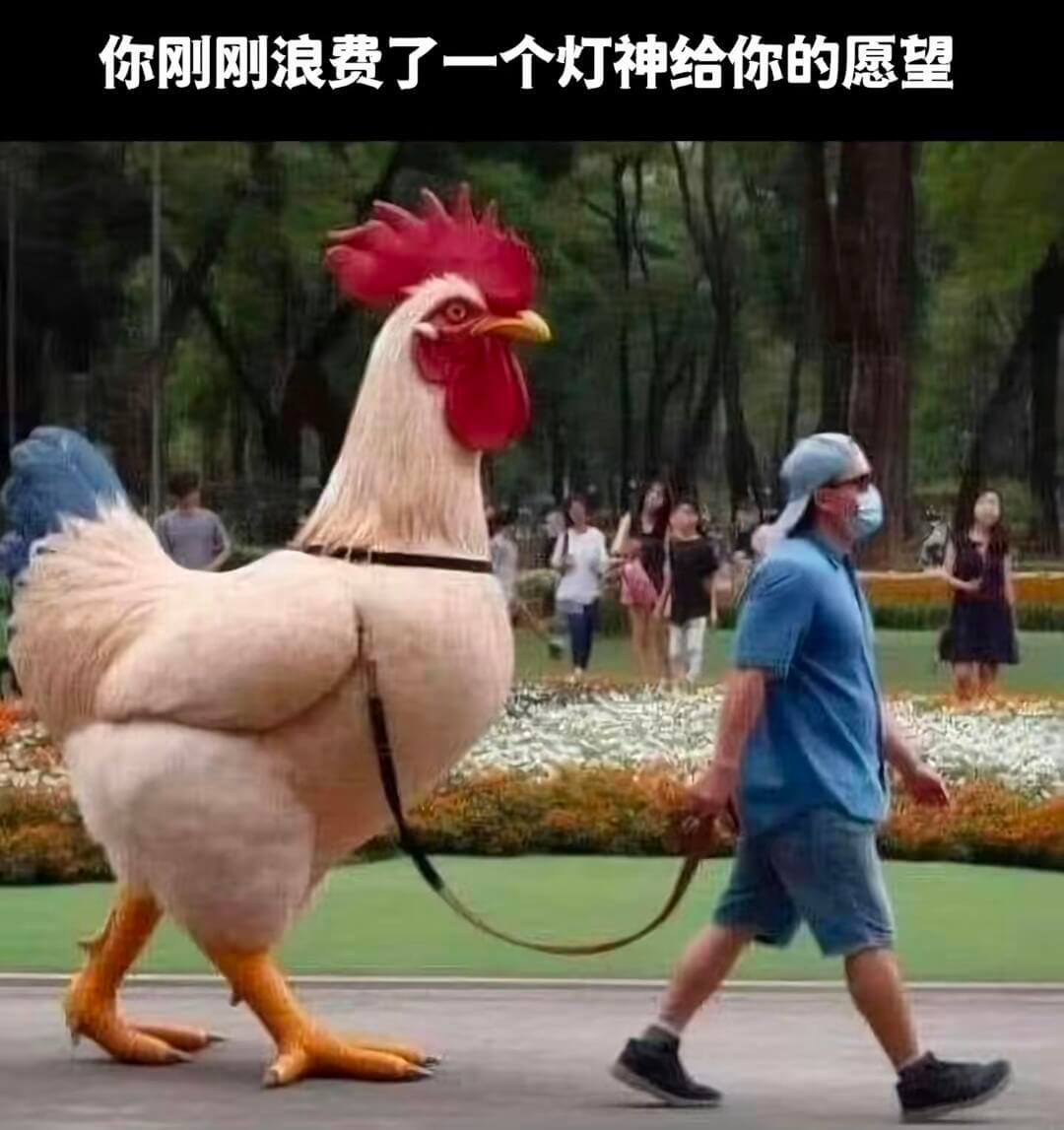 你刚刚浪费了一个灯神给你的愿望