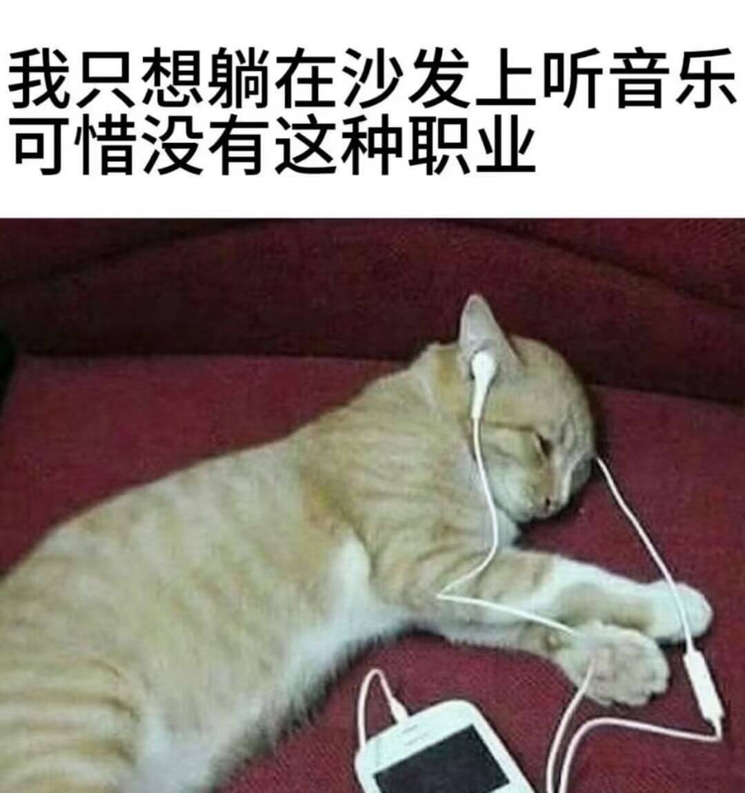 我只想躺在沙发上听音乐，可惜没有这种职业。