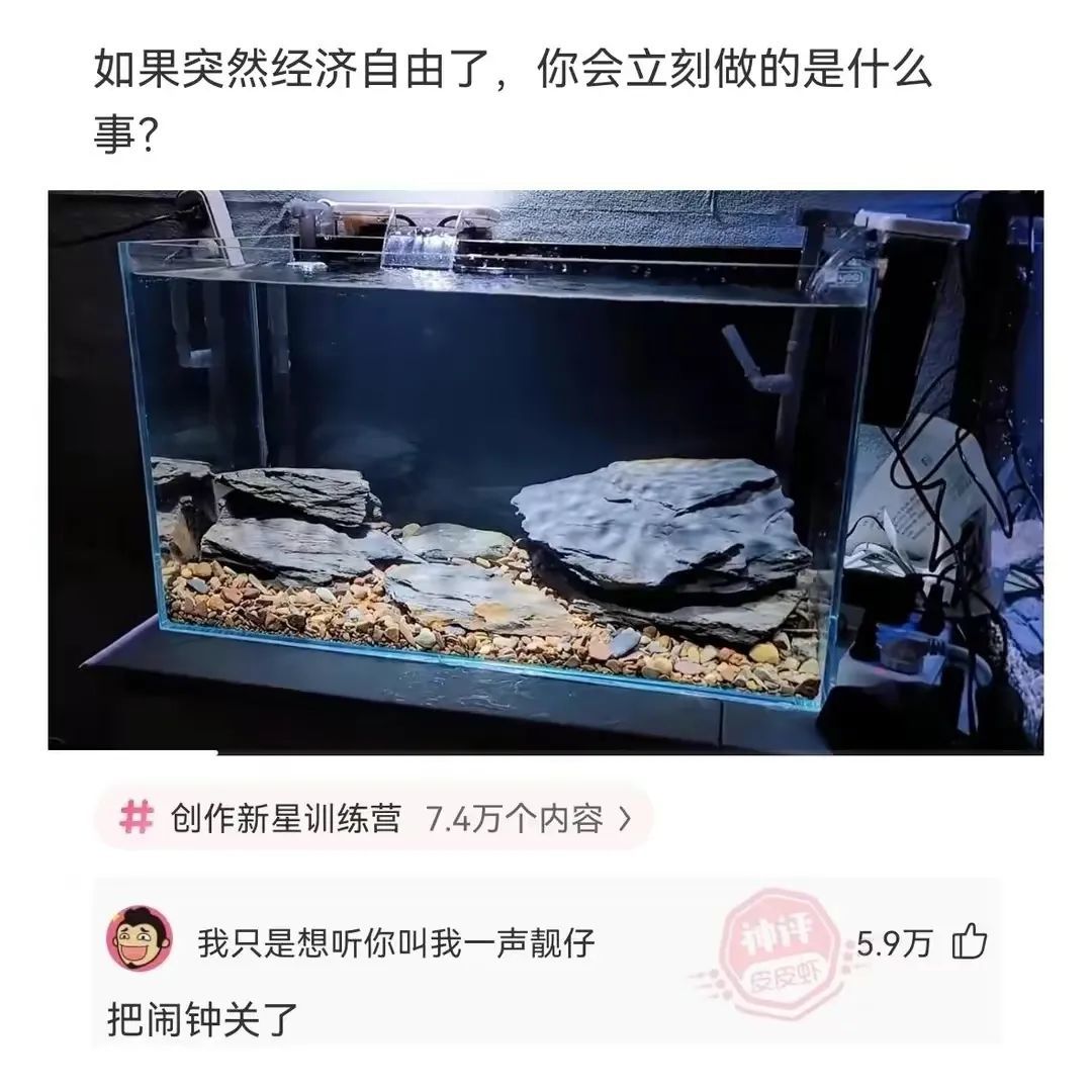 如果突然经济自由了，你会立刻做的是什么事?创作新星训练营7.
