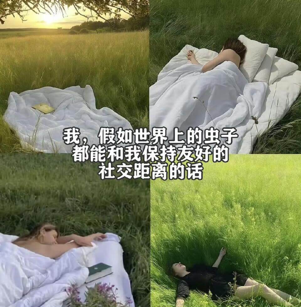 我，假如世界上的虫子都能和我保持友好的社交距离的话