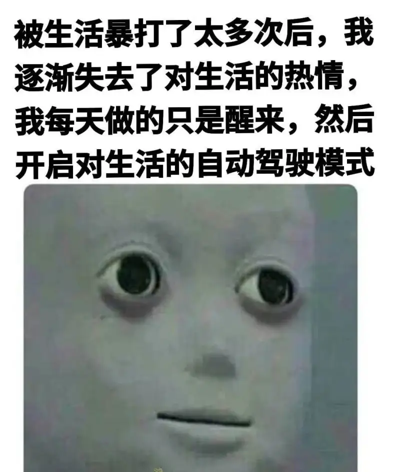 被生活暴打了太多次后,我逐渐失去了对生活的热情,我每天做的只
