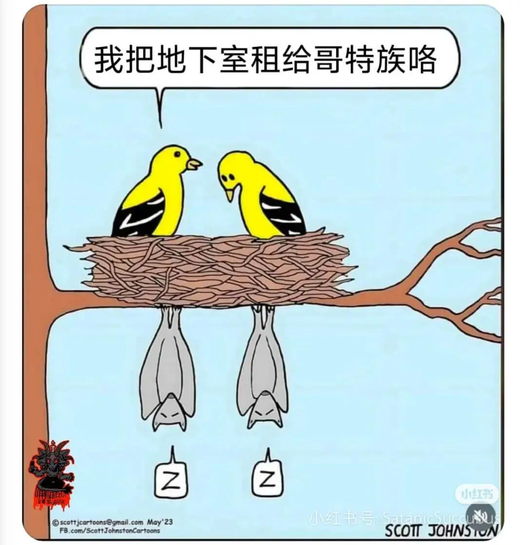 我把地下室租给哥特族咯小红书小红书号Sataniscottj