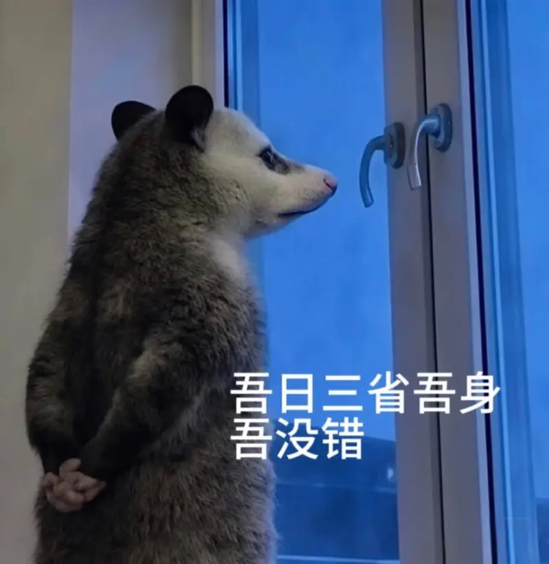 吾日三省吾身。吾没错。