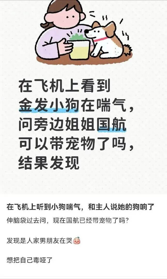 在飞机上看到金发小狗在喘气，问旁边姐姐：“国航可以带宠物了吗