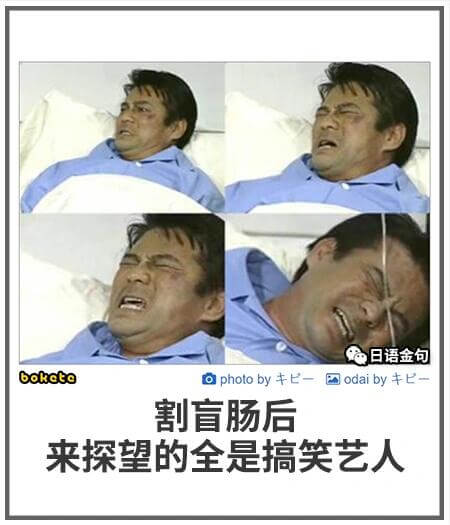 日语：金包boketo一张照片by牛国odaiby牛割盲肠后