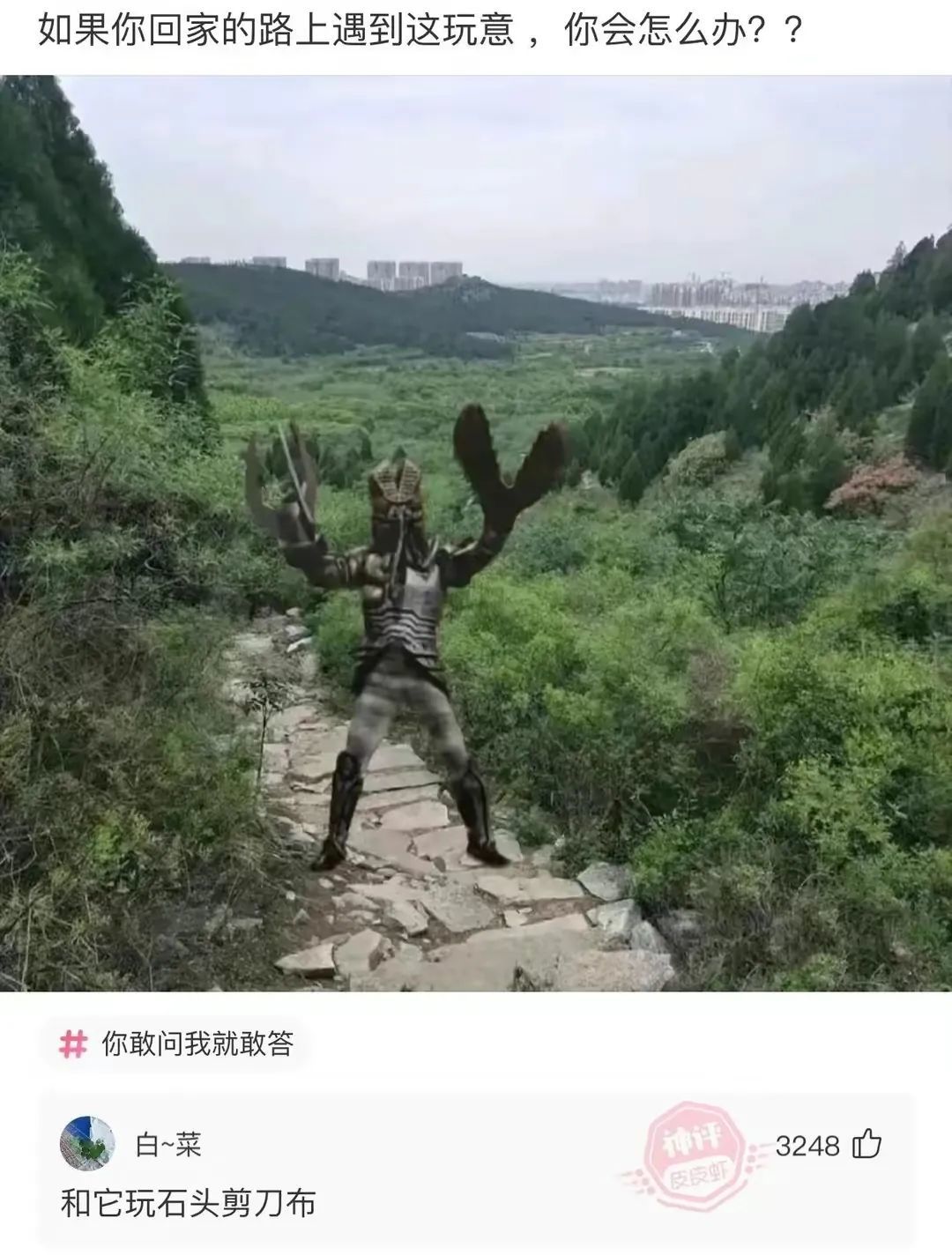 如果你回家的路上遇到这玩意，你会怎么办??你敢问我就敢答白~