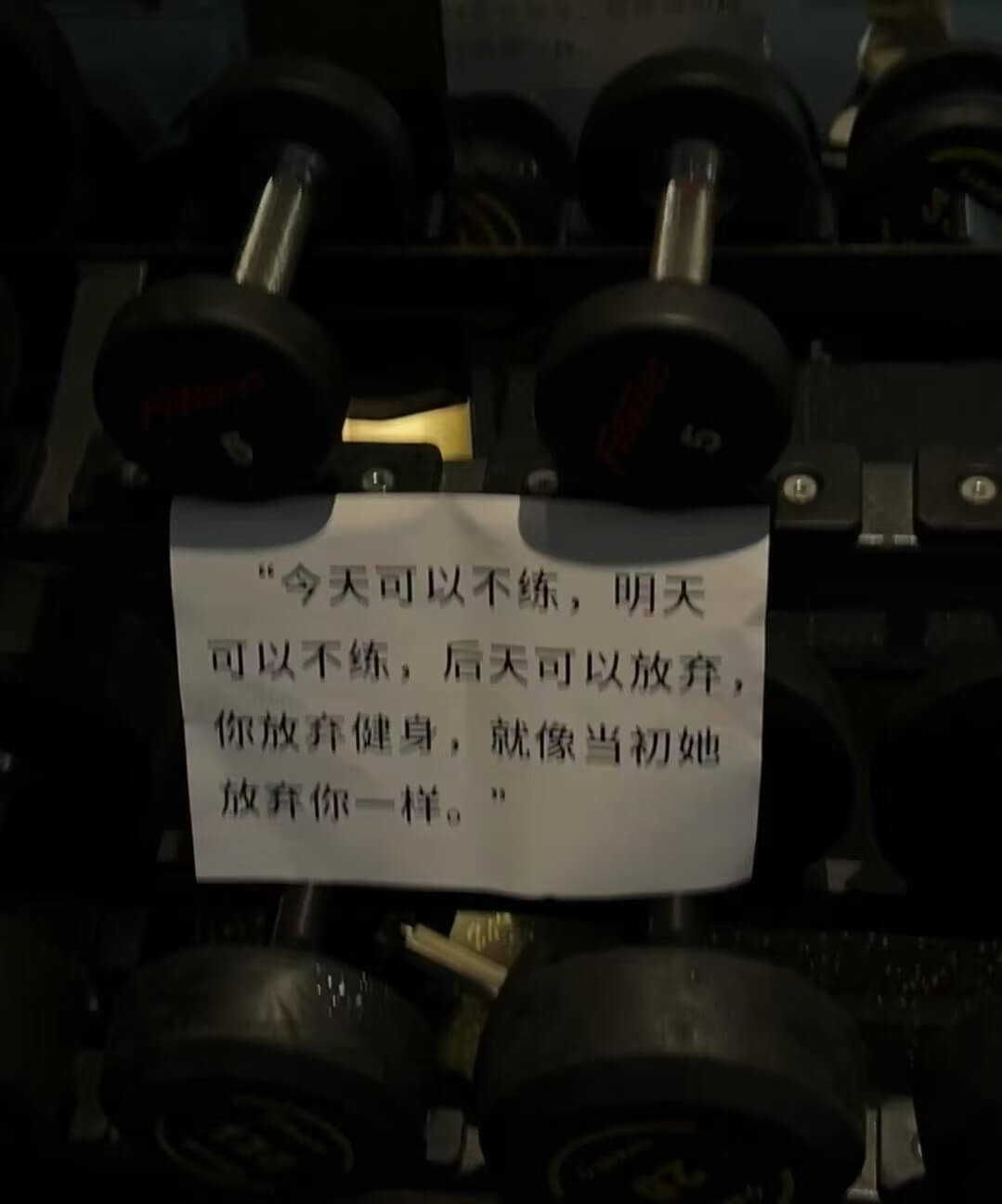 “今天可以不练，明天可以不练，后天可以放弃。你放弃健身，就像
