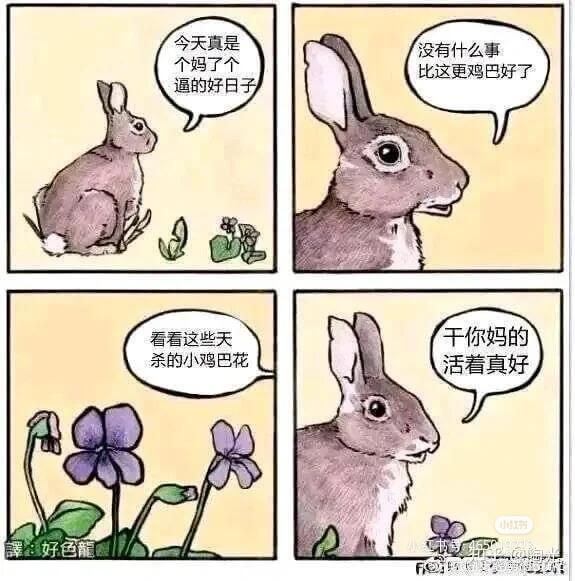 今天真是没有什么事个妈了个比这更鸡巴好了逼的好日子看看这些天