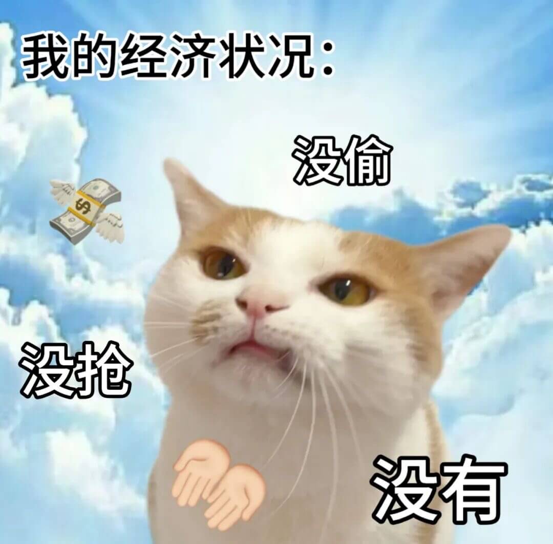我的经济状况：没偷，没抢，没有山