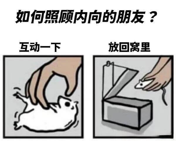 如何照顾内向的朋友？互动一下，放回窝里。