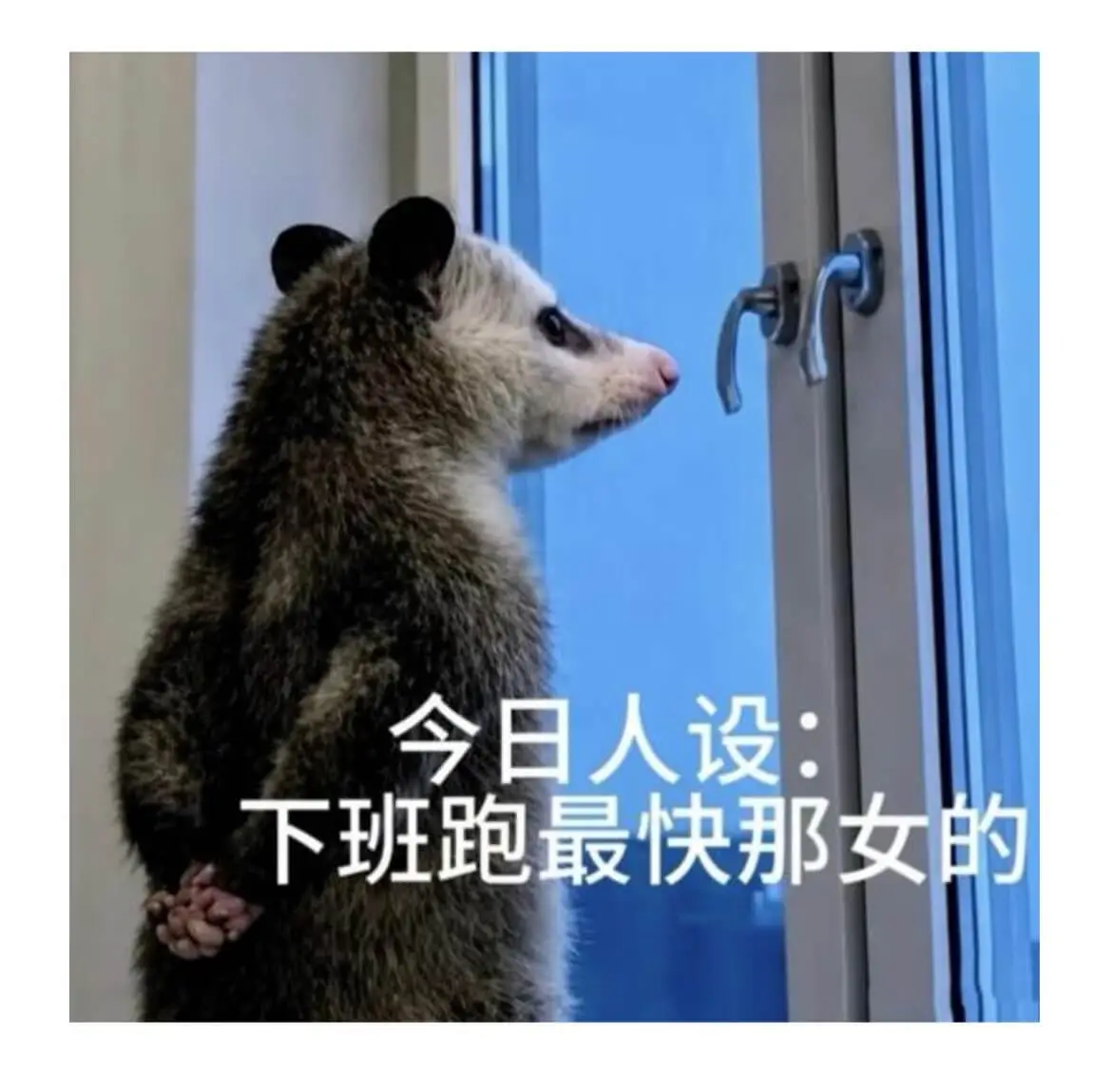下班！！！然后去咖啡馆看书喝冷饮嘿嘿