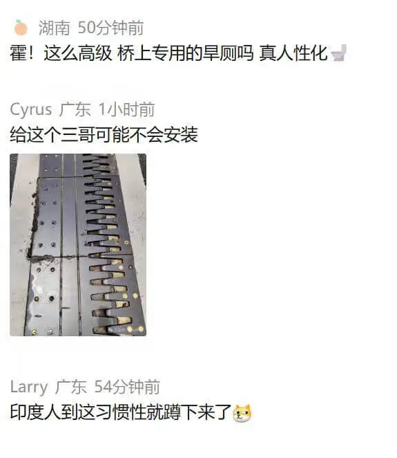 湖南50分钟前霍！这么高级，桥上专用的旱厕吗？真人性化！Cy