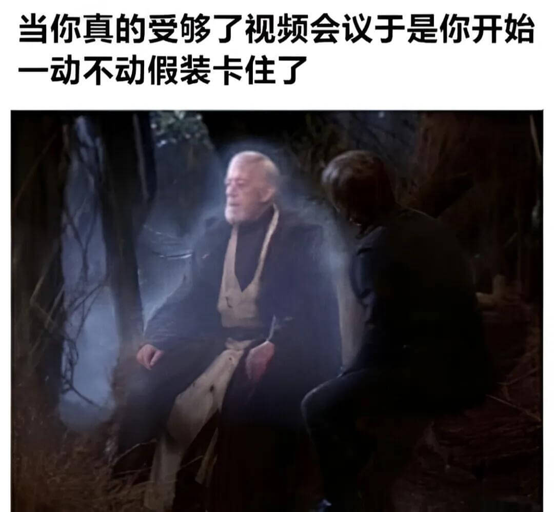 当你真的受够了视频会议，于是你开始一动不动假装卡住了