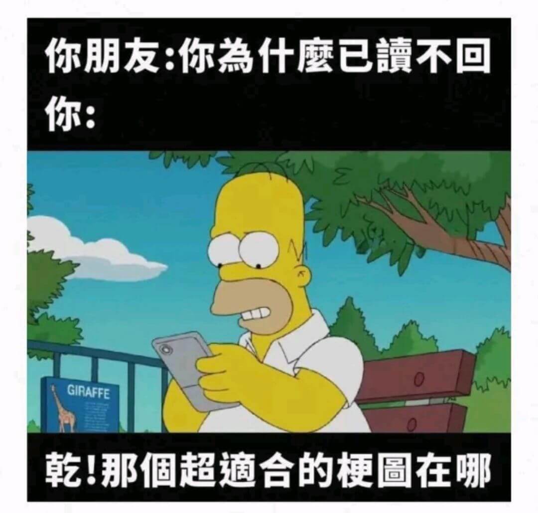 你朋友:你為什麼已讀不回你:GIRAFFE乾!那個超適合的梗