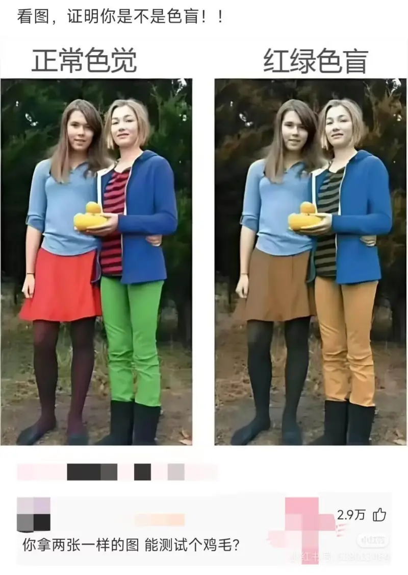 看图，证明你是不是色盲！正常色觉红绿色盲你拿两张一样的图能测